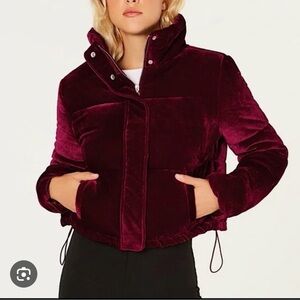 Jou Jou Women's Velvet Puffer Jacket in Burgundy
